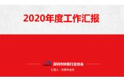 【报告】SZWA2020年度工作总结